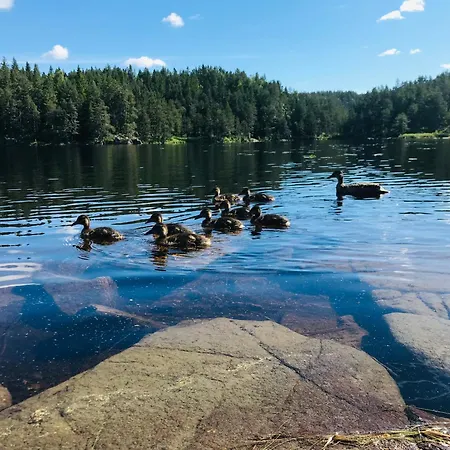 Fredelig Og Landlig * Iveland