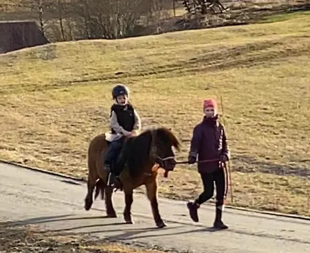 Camping Fredelig Og Landlig *